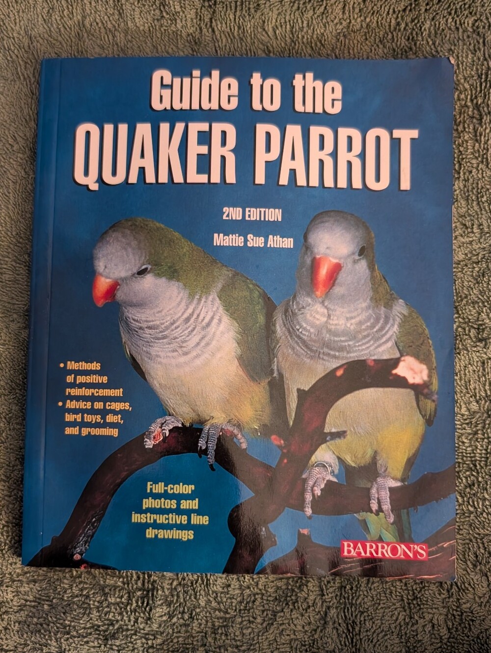 Quaker Parrot Care Guide Book